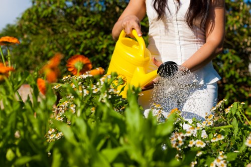 Professional landscaping services in Wandsworth
